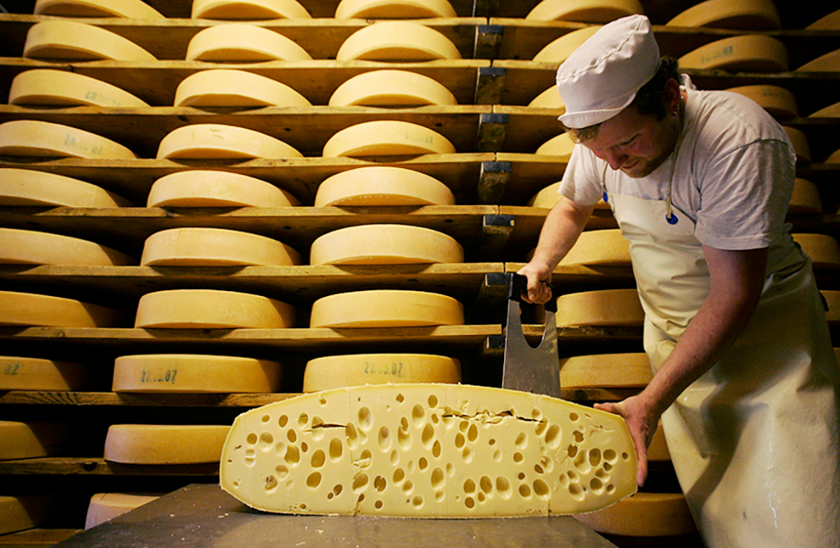 Завод по производству сыра построят в Дмитрове0